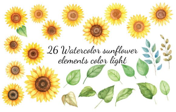 Download 26 Watercolor Sunflower Elements Color - Element Collection