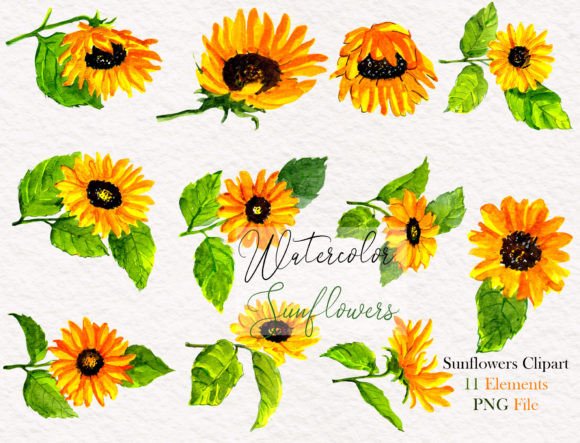 Download Watercolor Sunflower Elements Clipart - Element Collection