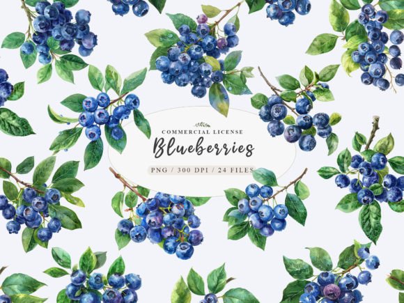 Download Berries Clip Art, Blueberry Branch Png - Clip art Collection